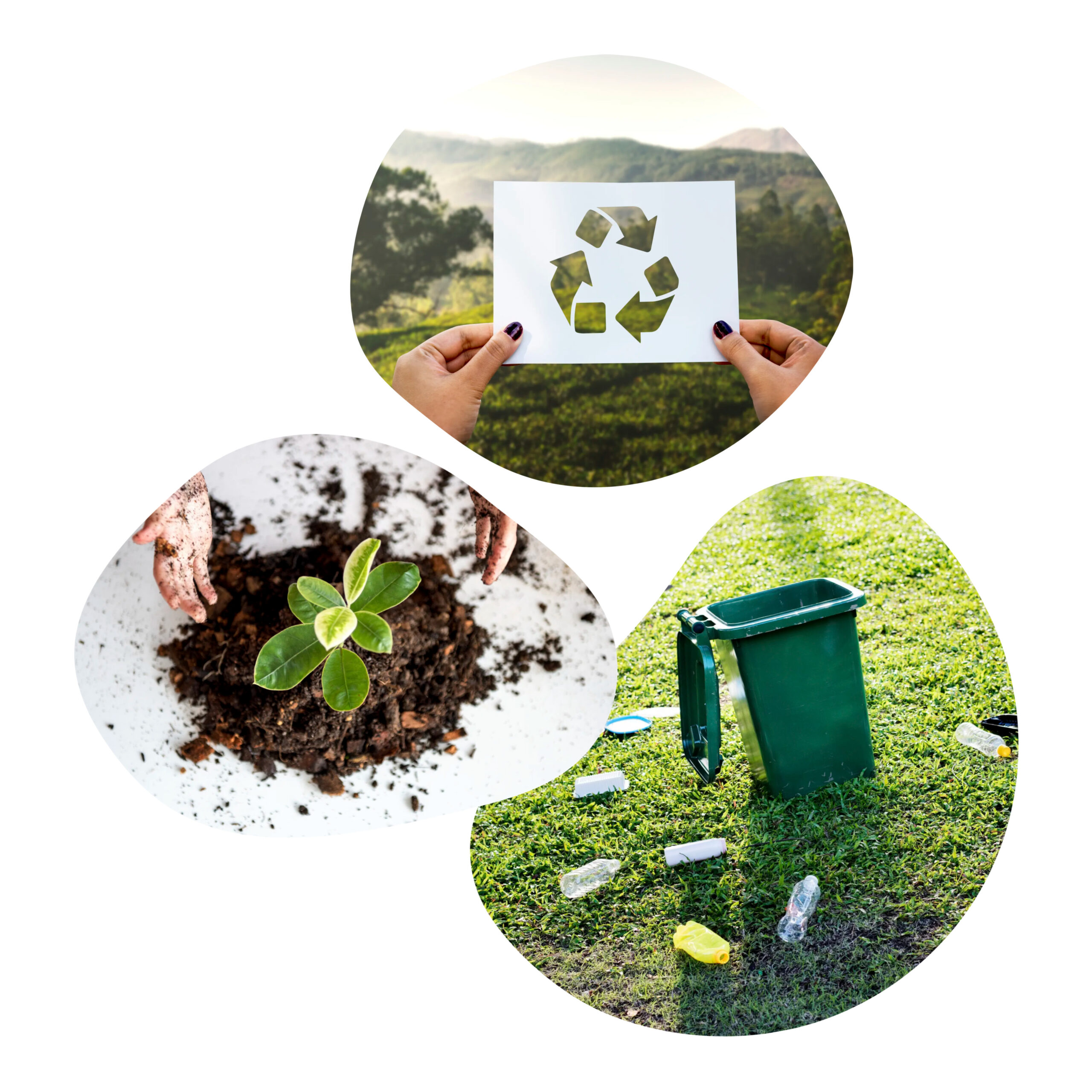 Biodegradable Plastic Bags