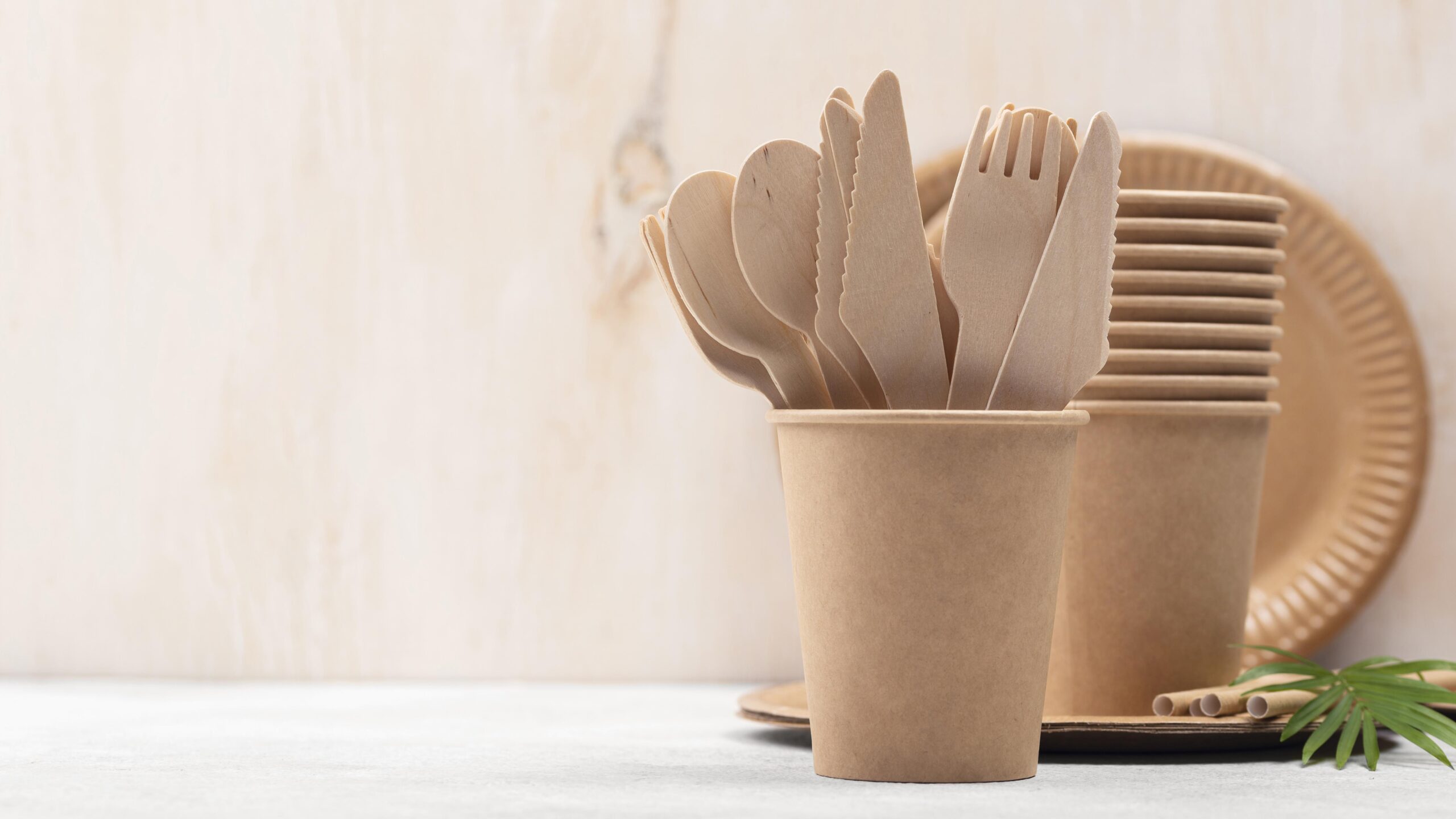 The Benefits of Using Bagasse Products for a Sustainable Future